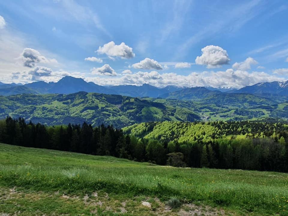 Aurach am Hongar Holzhaus "Zum Schwarz'N" 아파트 외부 사진
